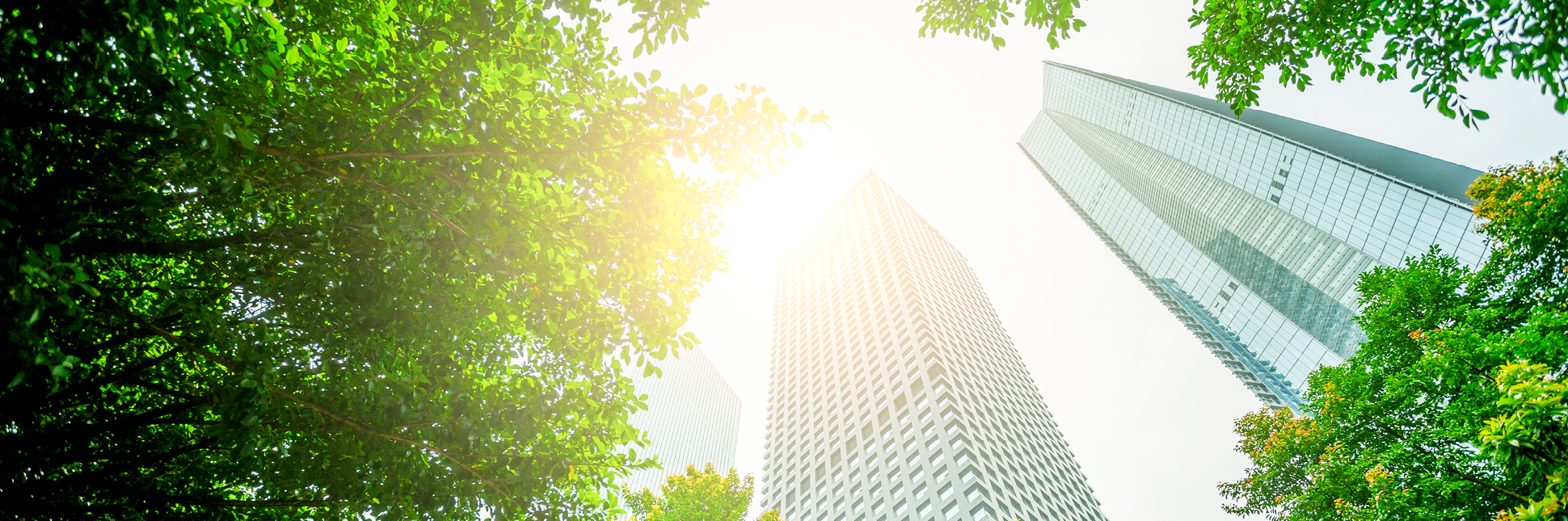 Sustainability in Property Management