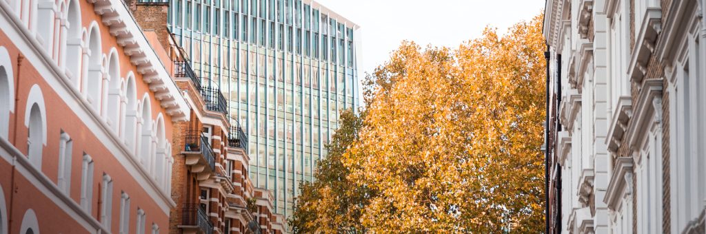 Trends to Watch in Commercial Property Management in 2026