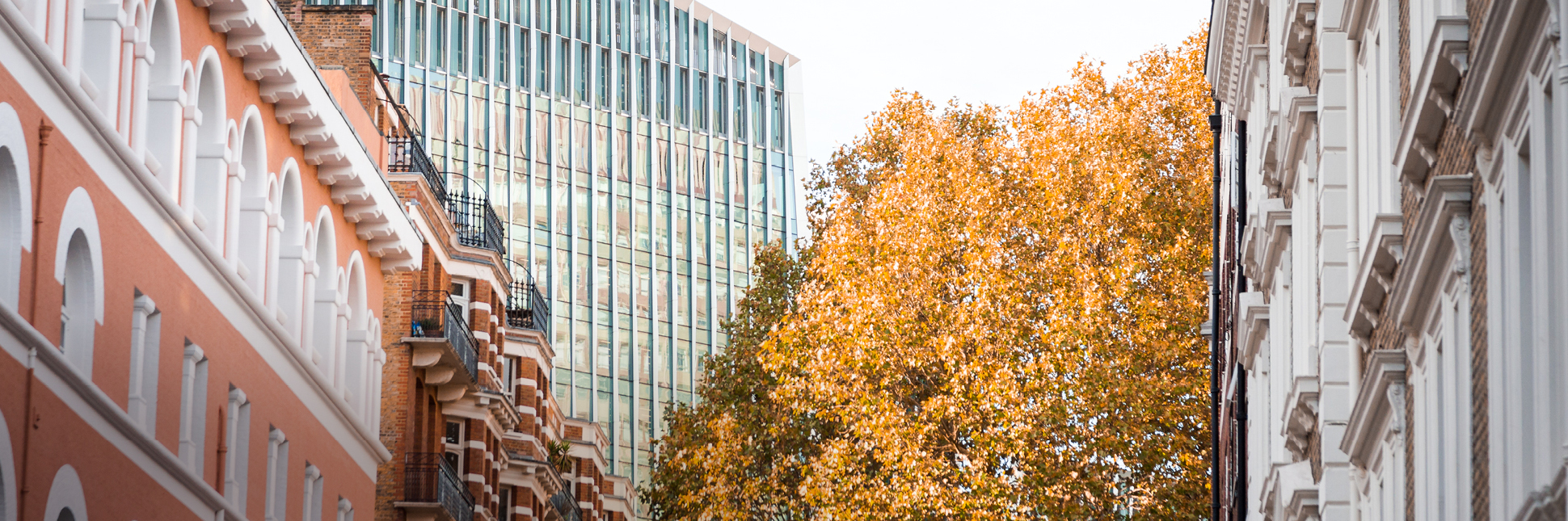 HR-Banner-Images5(v2)